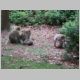 037 Montagne des Singes.jpg